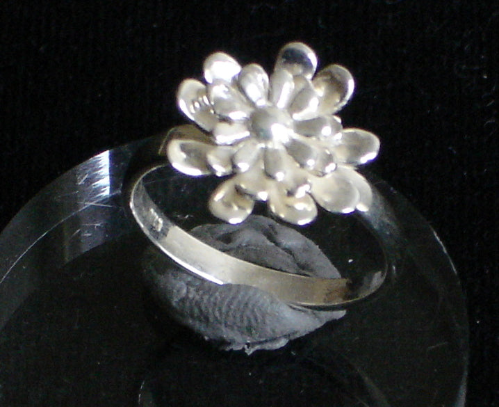 Zilveren ringen